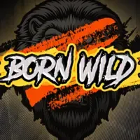Born Wild game thumbnail